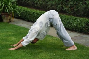 Downward facing dog2