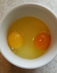 Commercial egg (LT) vs Gina's egg (RT)