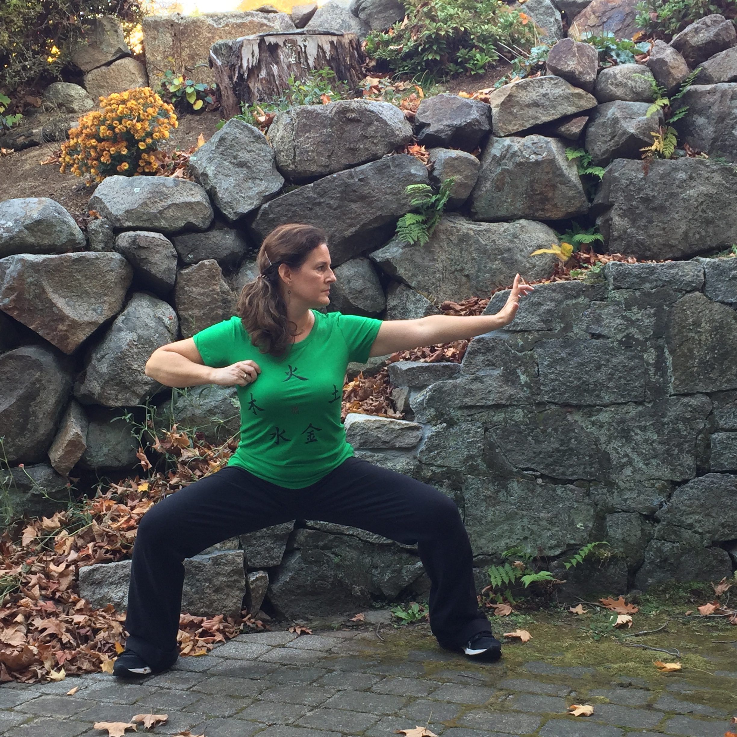 Qigong for prevention of disease
